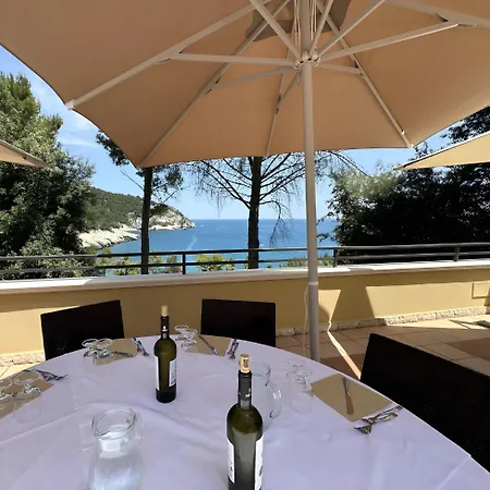 Hotiday Collection - Pugnochiuso