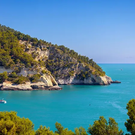 Hotiday Collection - Pugnochiuso アパートホテル ヴィエステ