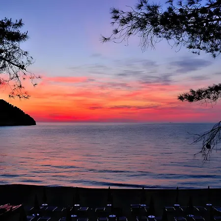 アパートホテル Hotiday Collection - Pugnochiuso 4*