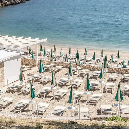 Hotiday Collection - Pugnochiuso